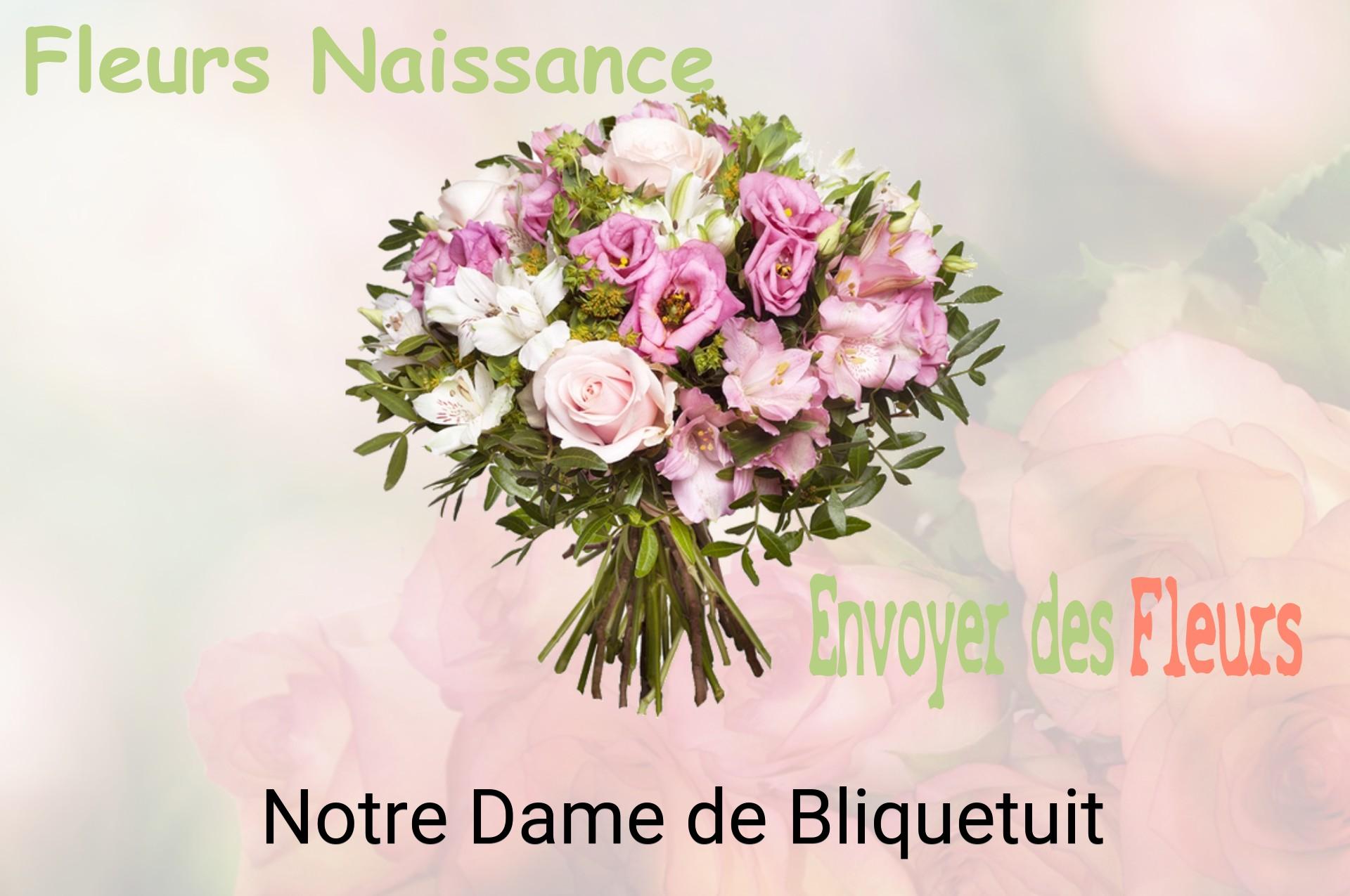 Bouquet de fleurs de naissance livré à Notre-Dame-de-Bliquetuit